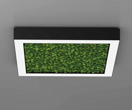 Подвесной светодиодный светильник ECO FRAME 1040 со мхом