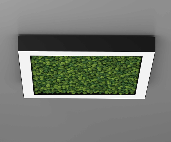 Подвесной светодиодный светильник ECO FRAME 1040 со мхом