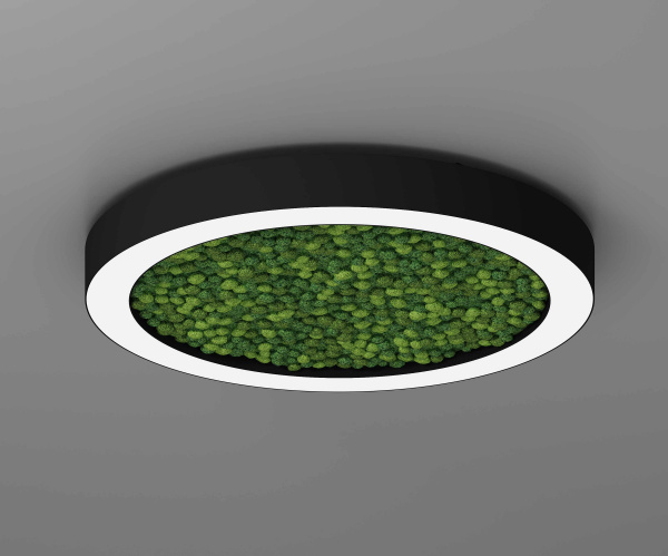 Подвесной светодиодный светильник ECO RING со мхом