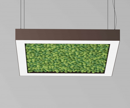 Подвесной светодиодный светильник ECO FRAME 1040 со мхом