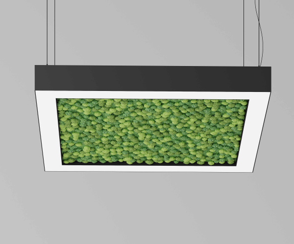 Подвесной светодиодный светильник ECO FRAME 1040 со мхом