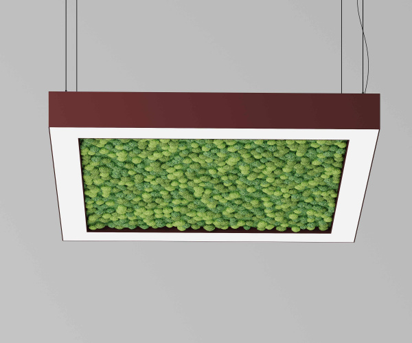 Подвесной светодиодный светильник ECO FRAME 1040 со мхом